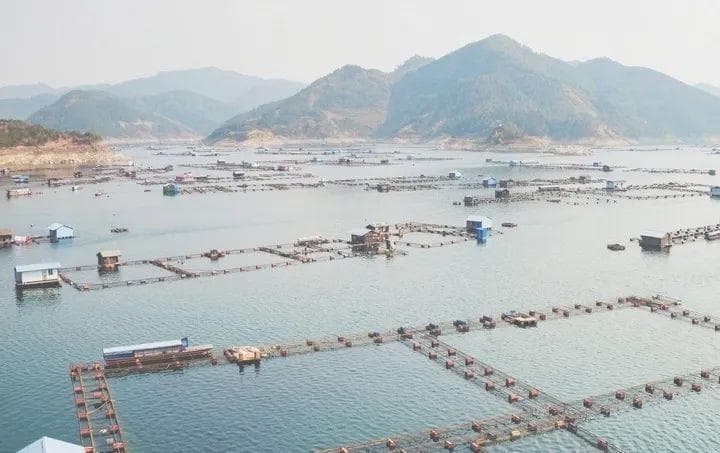 万峰湖：三省区携手治理，昔日“臭水湖”变身生态旅游胜地