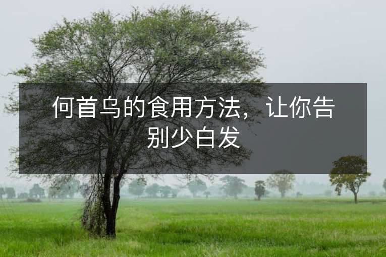 何首乌的食用方法，让你告别少白发