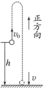 竖直上抛运动