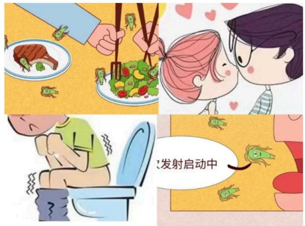 幽门螺杆菌 (HP) ——知“幽”理、解“幽”愁