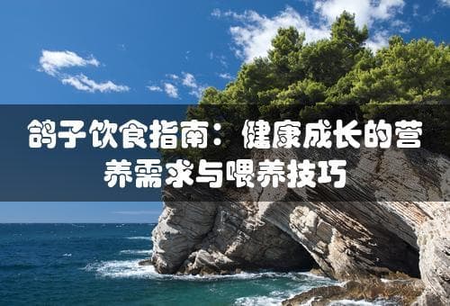 鸽子饮食指南：健康成长的营养需求与喂养技巧