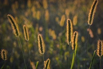 紫微斗数各宫年龄含义解析与应用指南