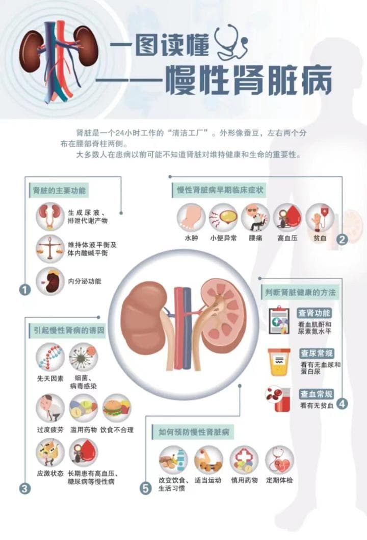 泌尿健康日|生命力之源  从泌尿系统开始