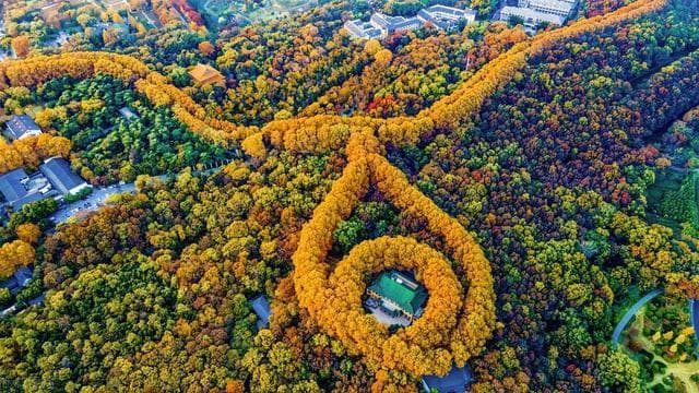 秋季旅游推荐：7座城市尽显中国最美秋色