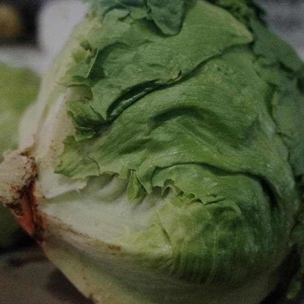 适合孩子吃的饭菜简单易做
