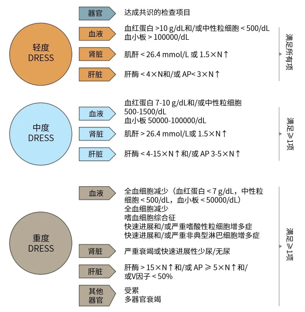 7.8世界过敏性疾病日｜一文解析重症药疹——SJS/TEN与DRESS的异同