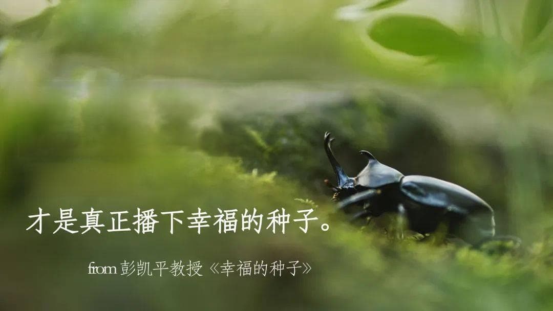 幸福的种子：积极情绪与消极情绪