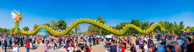 136万人次入园，2亿次曝光：2024小榄菊花会交出亮眼成绩单