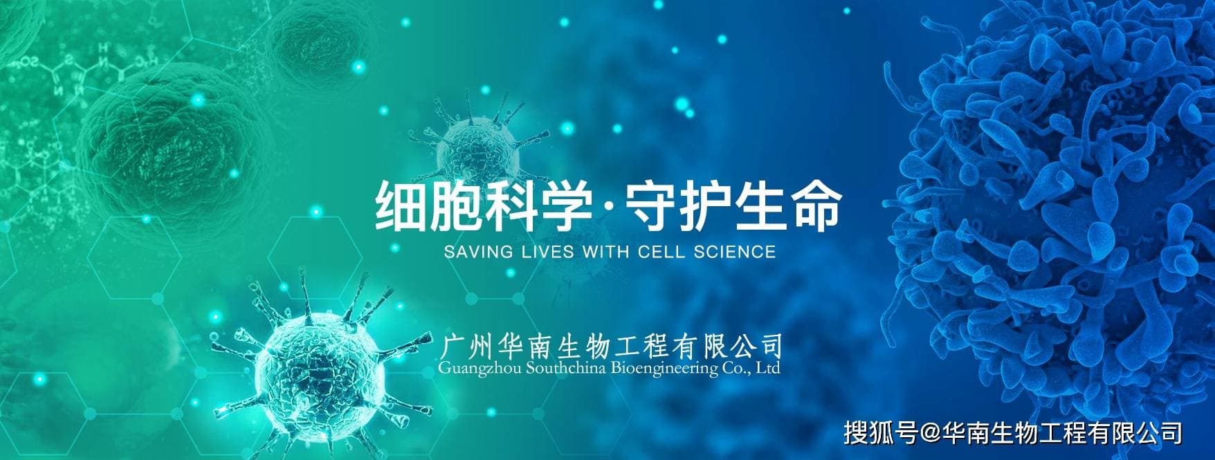 鸡减蛋综合征病毒血凝抑制试验抗原