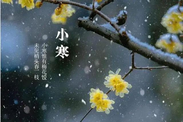 “小寒时处二三九，天寒地冻冷到抖”，五道时令食谱助力渡寒冬