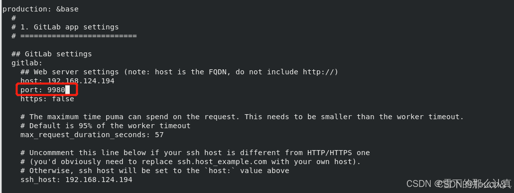Docker 搭建 Gitlab 服务器 (完整详细版)
