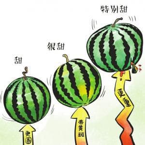 挑选西瓜也有误区