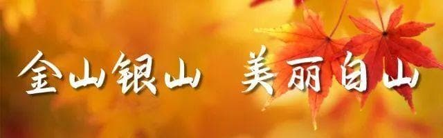 诗情秋意·遇见白山 | 林海宝藏，千年参情！抚松县人参文化历久弥新