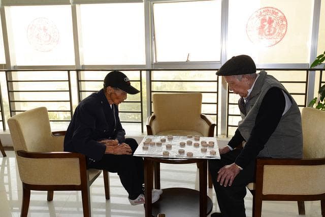 象棋口诀助你快速上手，揭秘千年国粹智慧