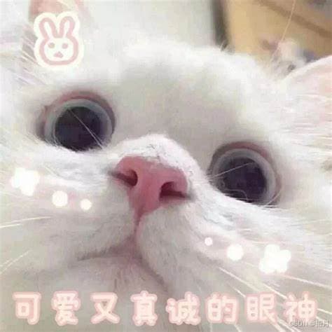 CSS背景设置完全指南：从基础到实战