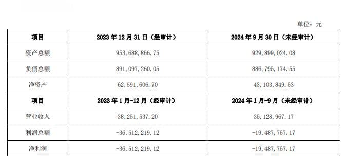 国光电器向关联公司提供的财务借款发生逾期