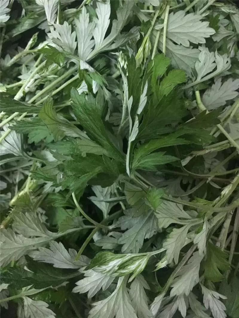 吃货上线！一口鲜一口嫩！春日里的江门，要这样吃！