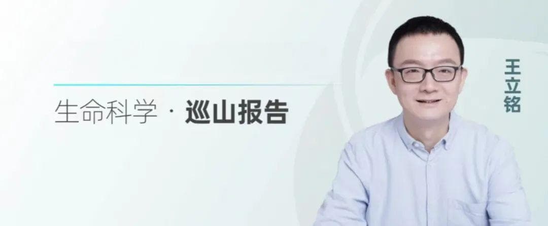 20年来首款全新止痛药上市