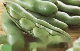 蚕豆要剥皮吗？新鲜蚕豆怎么快速剥皮？
