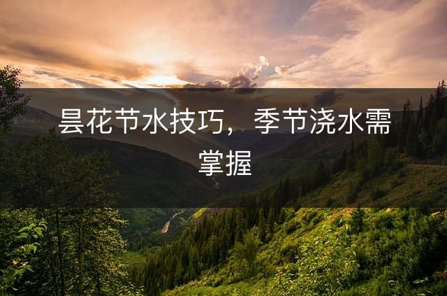 昙花节水技巧，季节浇水需掌握