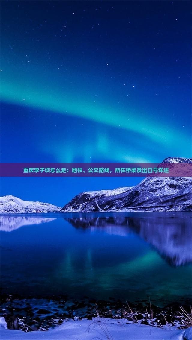 重庆李子坝怎么走：地铁、公交路线，所在桥梁及出口号详述