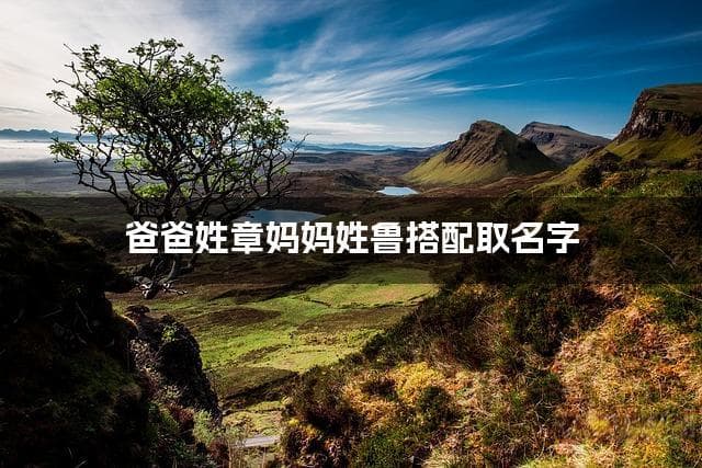章鲁姓氏搭配取名，有灵气的男生名字案例