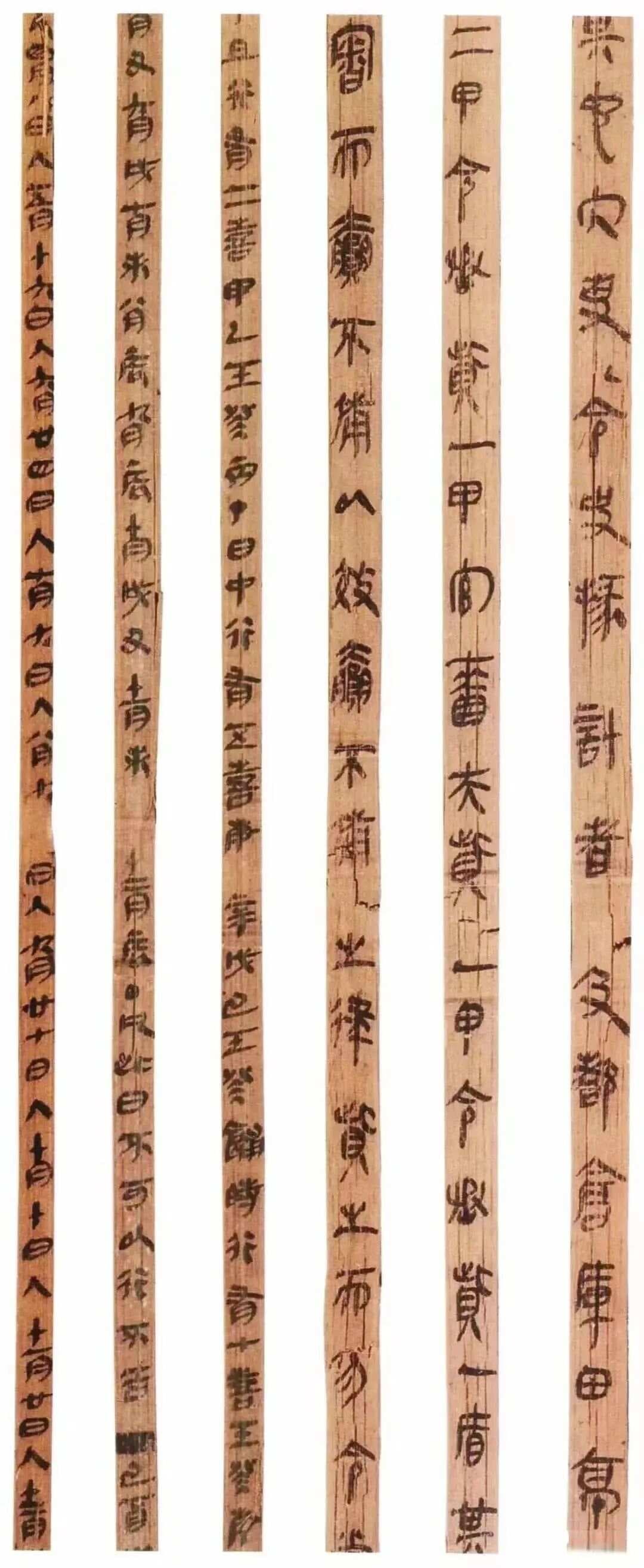 1155枚秦简重现天日，揭秘2000年前秦代法制与书法