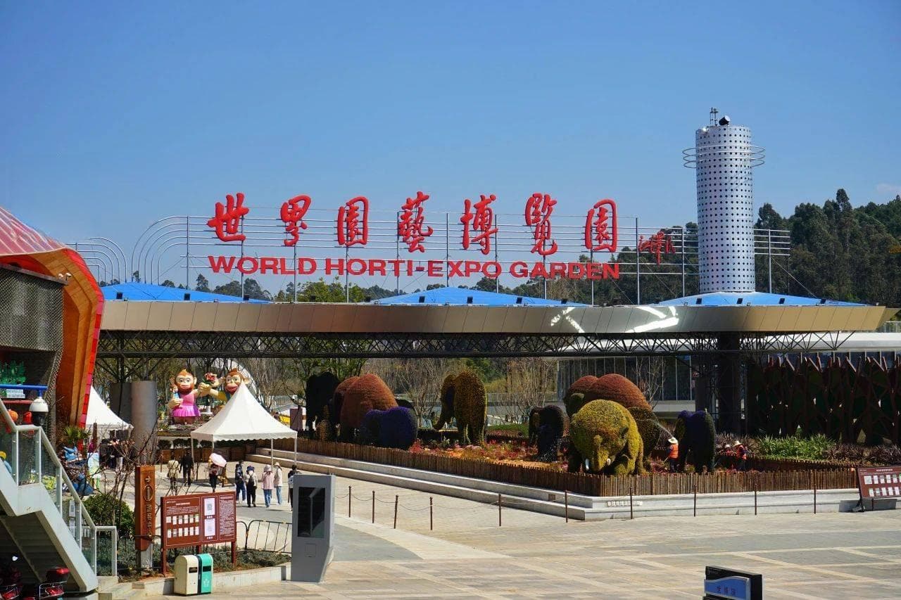 免签政策助力“云南旅游”直线涨停，公司连年亏损累计超10亿