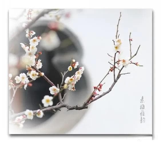 对联的九种类型及其寓意