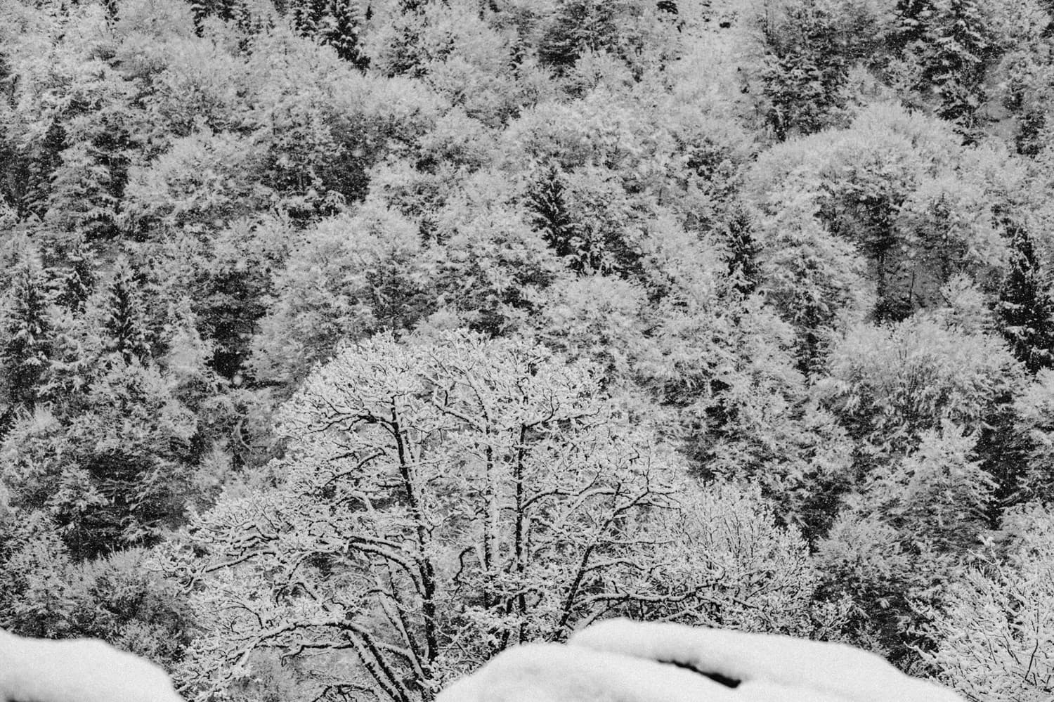 冬日沂蒙山，冰雪仙境等你来打卡！