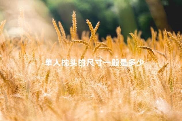 单人枕头的尺寸一般是多少 40×60的枕头适合大人用吗