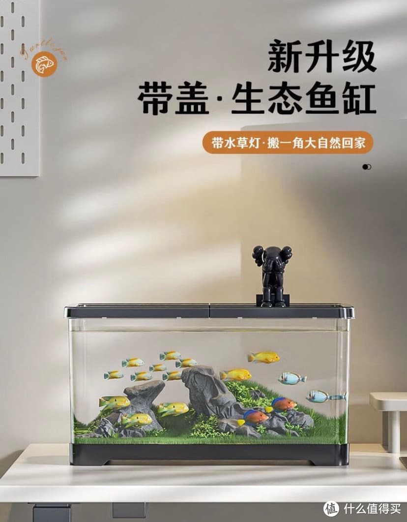 零基础学鱼缸造景：十步打造生态水族箱