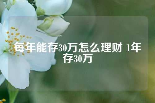每年能存30万怎么理财？1年存30万的理财规划指南