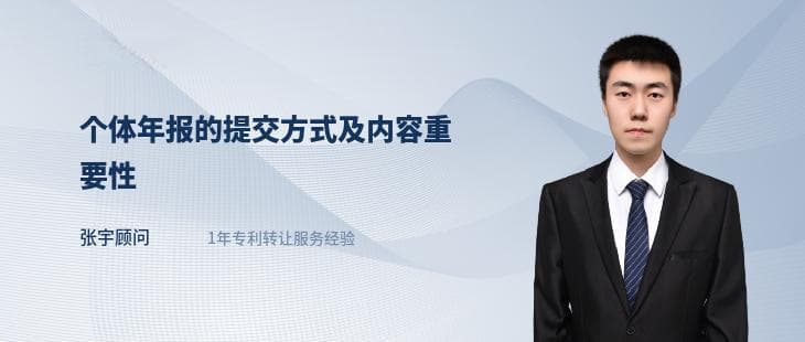 个体年报的提交方式及内容重要性