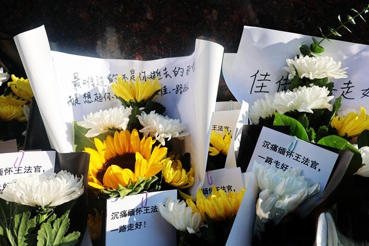 那个如春风一般的女法官走了