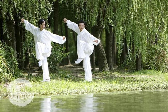 武当太极拳教程 详解太极拳基本功练习方法