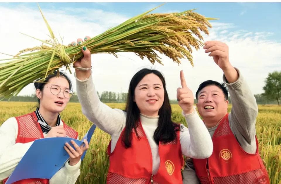 国有企业合规审计的探析与实践