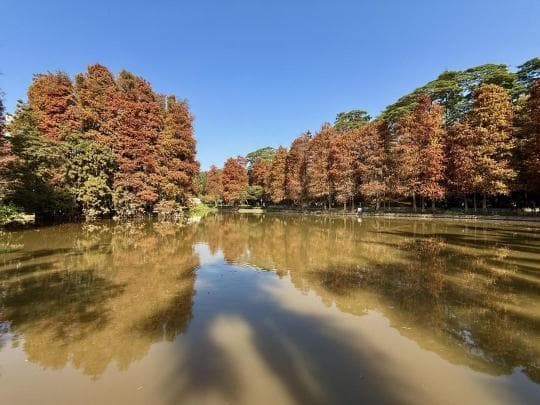广东迎冷空气最低气温降至0℃，12日起气温逐步回升