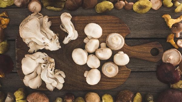 蘑菇保鲜有讲究：平菇、草菇等四种蘑菇的科学储存法