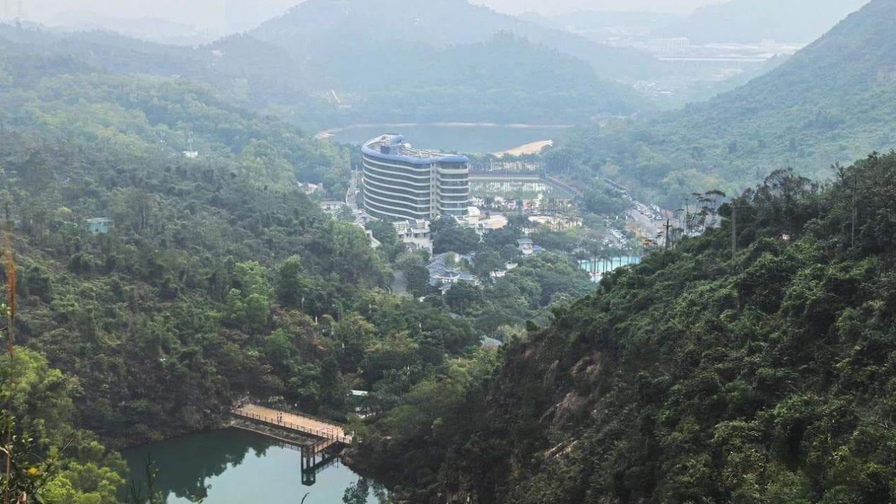 雨水养生正当时，疏肝健脾迎春光