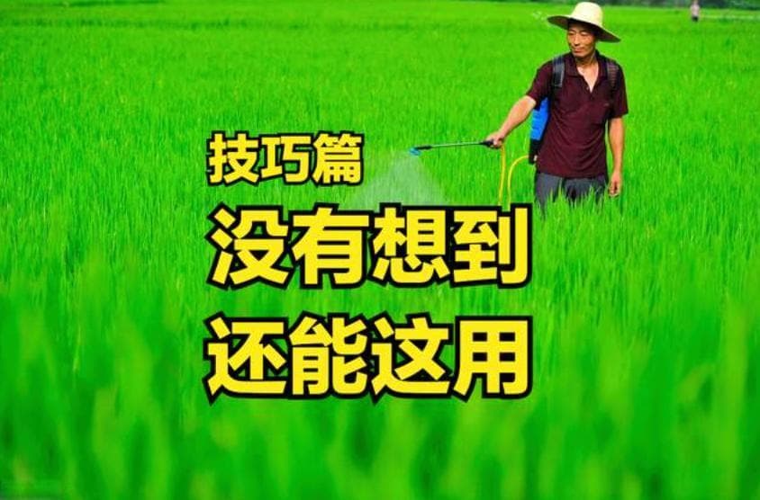 磷酸二氢钾、尿素没想到还能这样用，这些方法你知道吗？