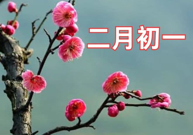 二月初一谜团揭秘：中和节太阳糕藏何意？勾陈大帝诞辰又暗示着什么？