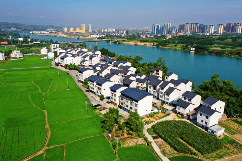 上下联动凝心聚力 携手共建和美乡村