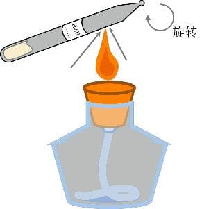 菌株（冻干粉/甘油菌/斜面/平板/菌液）到手后的处理方法