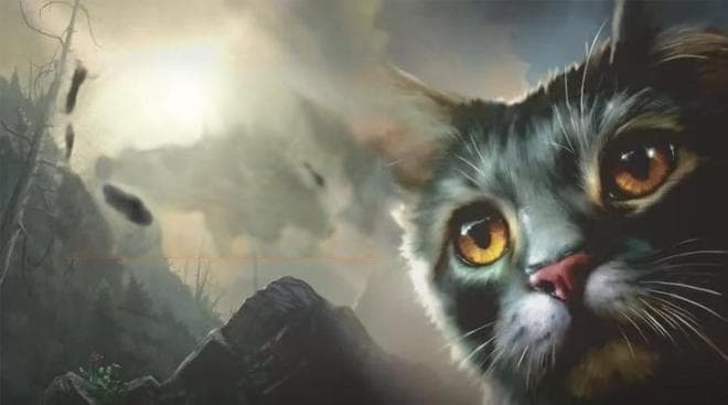 与《哈利波特》齐名全世界现象级经典，火爆全网的猫武士是一套“全能”的好书？