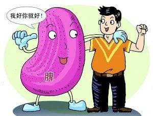 肠道菌群失衡与中医理论和治疗方法密切相关
