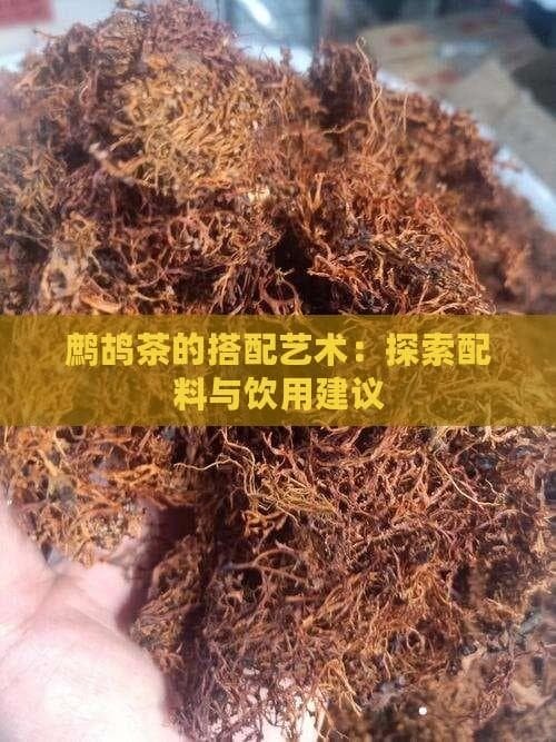 鹧鸪茶的搭配艺术：探索配料与饮用建议