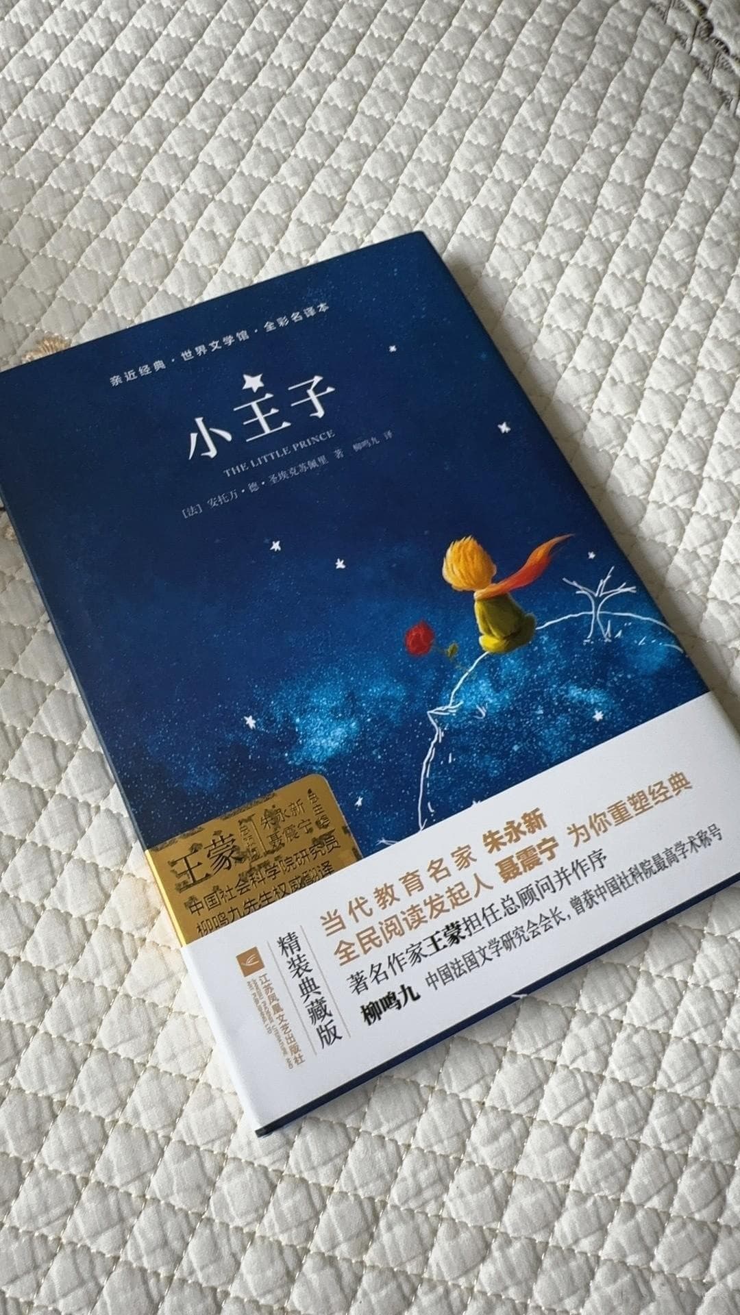 安托万笔下的星空：《小王子》如何影响了一代人？