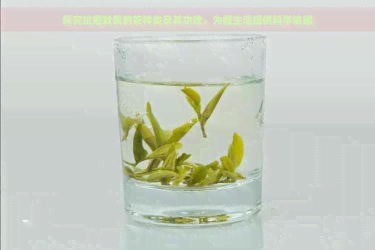 探究抗癌效果的茶种类及其功效，为健生活提供科学依据