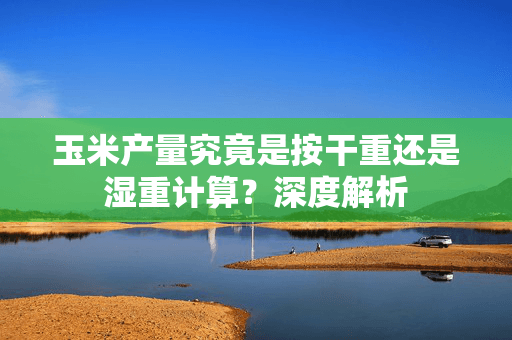 玉米产量究竟是按干重还是湿重计算？深度解析